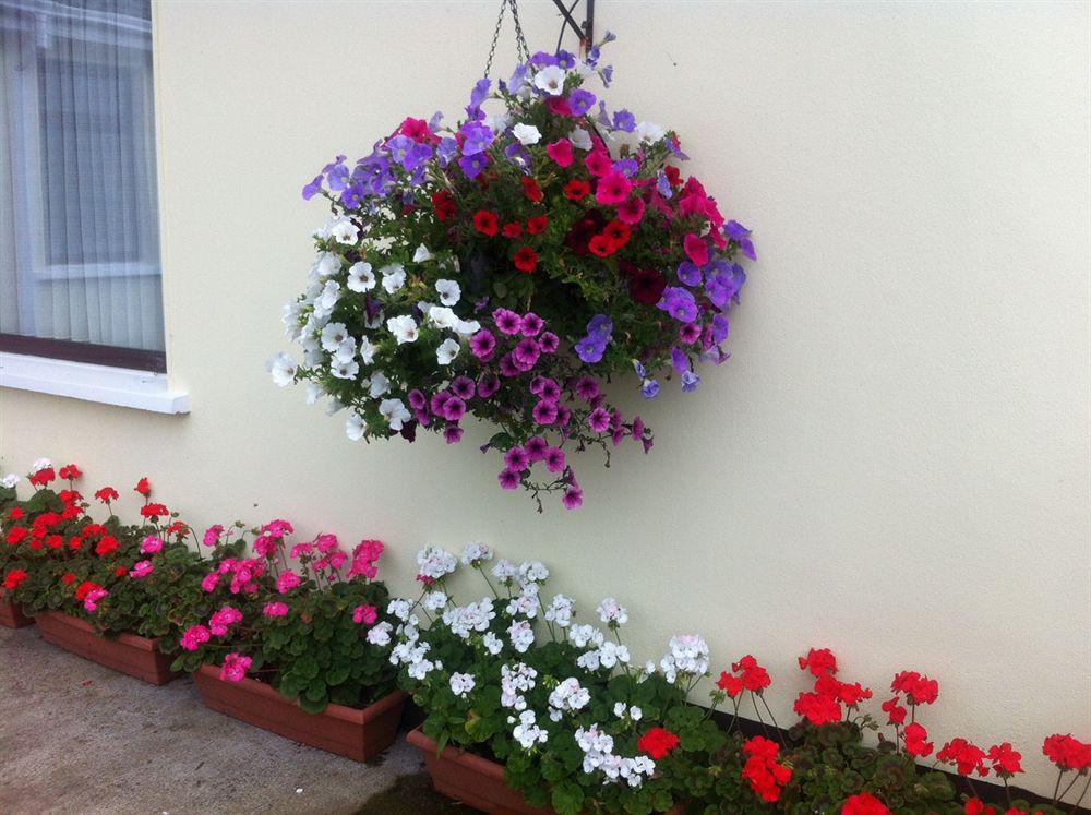 Hillview Self Catering Apartamento Lusk Exterior foto